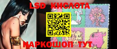 шишки Абинск
