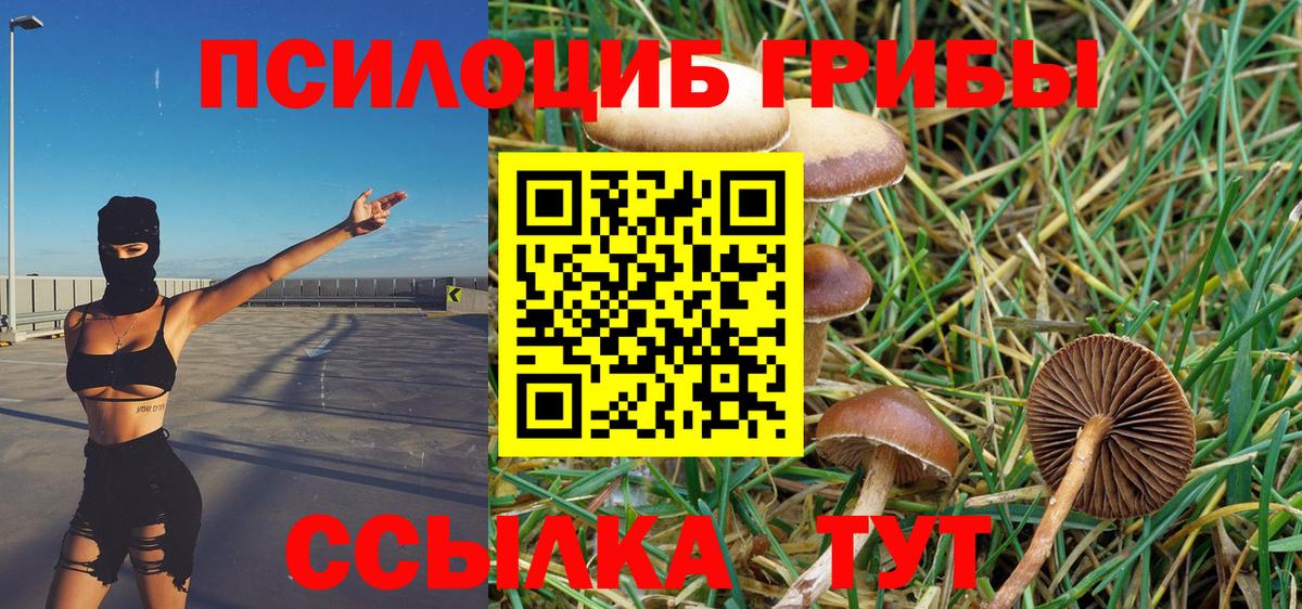 Галлюциногенные грибы мицелий Алексеевка