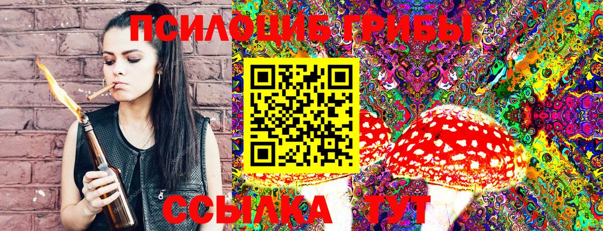 Алексеевка  Галлюциногенные грибы Psilocybine cubensis  Галлюциногенные грибы Psilocybine cubensis  Вход с VPN 